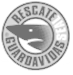 ISLA Lifeguard 7